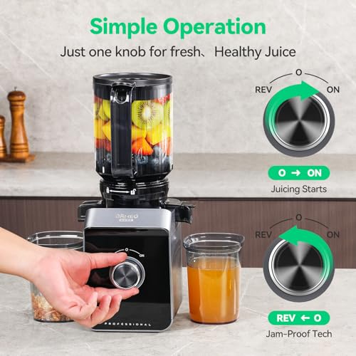 Cold Press Juicer