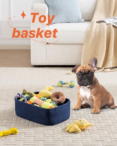 Small Woven Storage Basket for Organizing (3 Count)