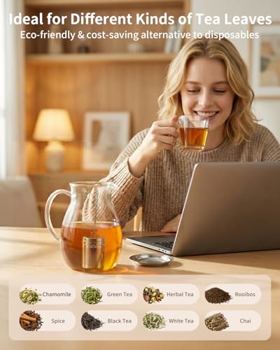 2 Pack Tea Infusers (2 Count)