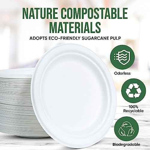 White Disposable Paper Plate 7 inch (100 Count)