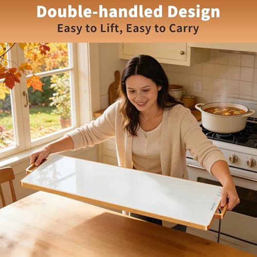 Electric Warming Tray