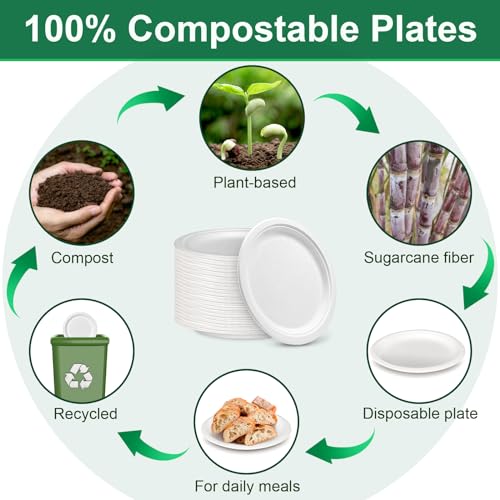 9 inch Disposable Paper Plates 200 Pack (200 Count)