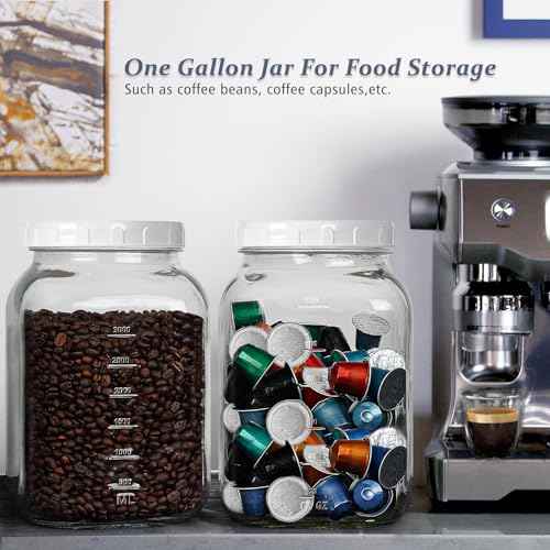 2 Pack Wide Mouth 1 Gallon Clear Glass Jar with Lid (2 Count)