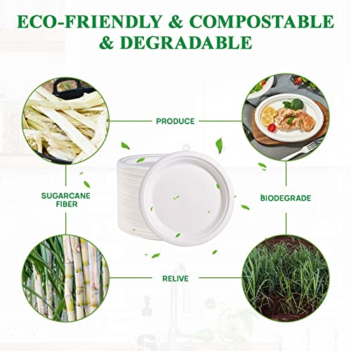 150 Pack Paper Plates 9 inch 100% Compostable (150 Count)