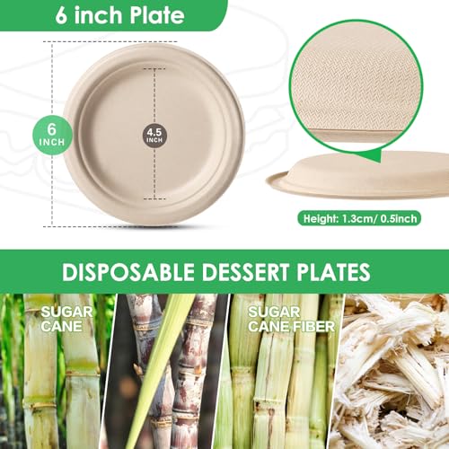 Compostable Small Paper Plates 6 Inch 125 Pack Dessert Plates (125 Count)