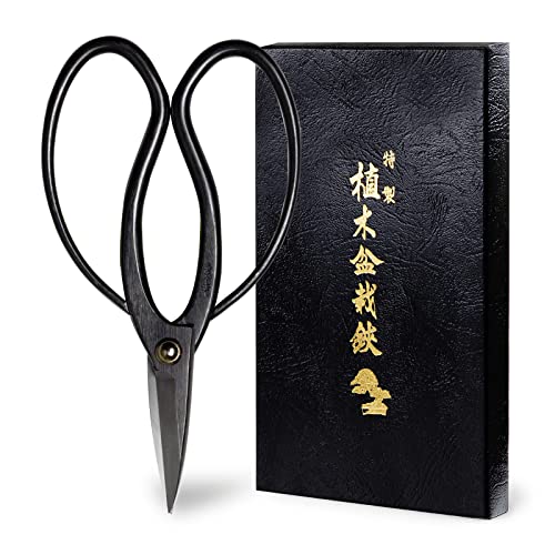 Hanafubuki Wazakura Bonsai Scissors Made in Japan 7inch