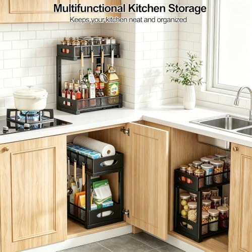 Under Sink Organizer
