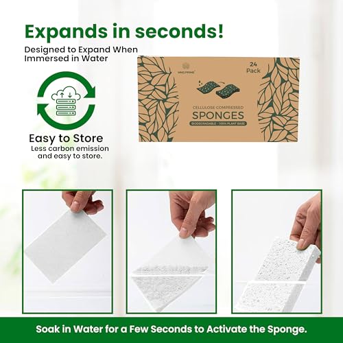 Cellulose Sponges (24 Count)