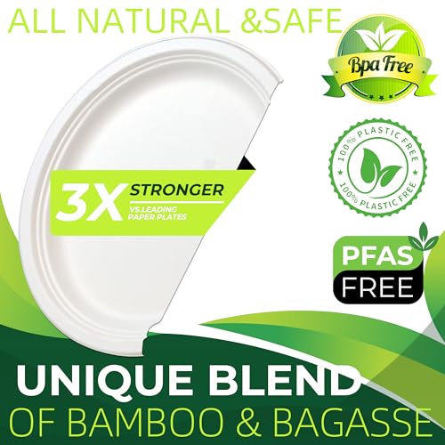 100PCS 100% Compostable White Oval Paper Plates (100 Count)
