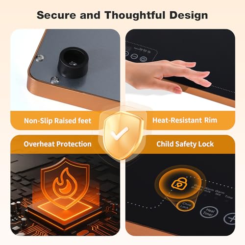 Electric Warming Tray