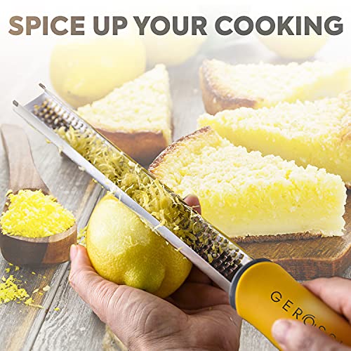 Lemon Zester Tool with Handle