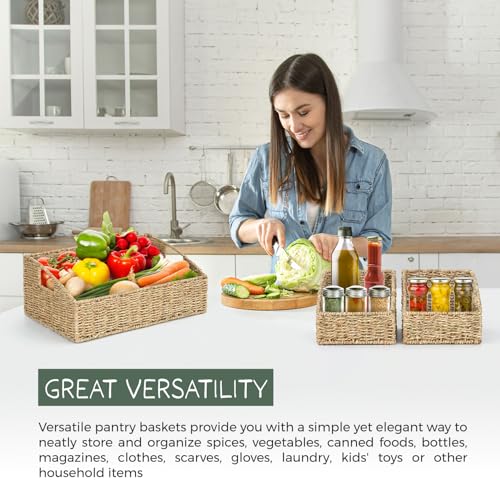 Set of 3 Handwoven Storage Baskets (3 Count)