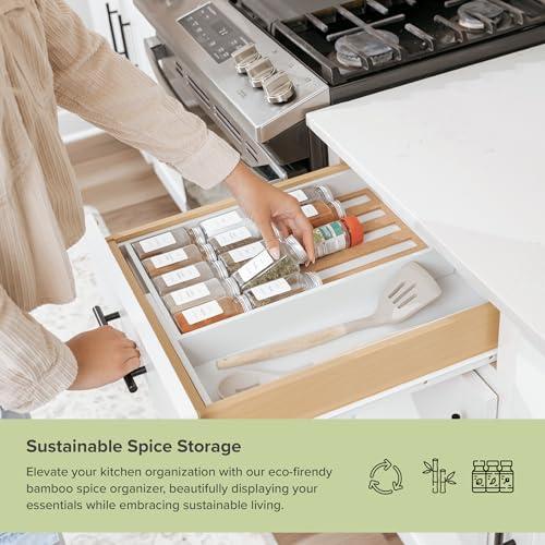 Expandable Spice Drawer Organizer