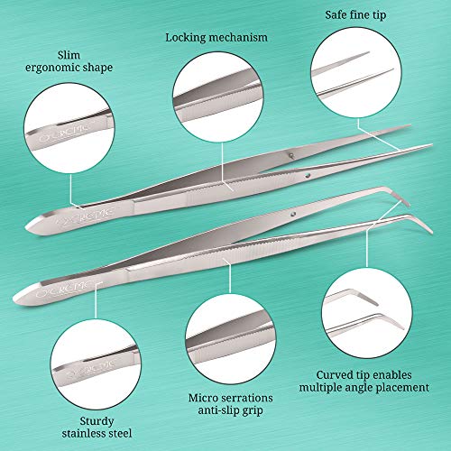 Stainless Steel Tweezer Tongs