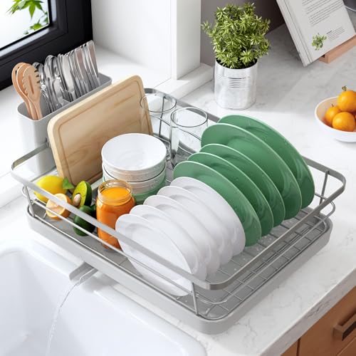 Dish Drying Rack for Kitchen Counter