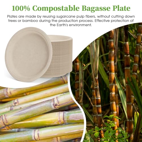 150 Pack 10 inch Compostable Disposable Paper Plates for Party (150 Count)