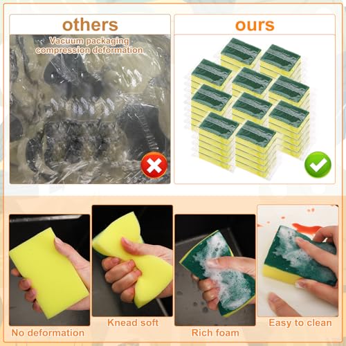 50 Pcs Individually Wrapped Sponges for Airbnb Apartment Green (50 Count)