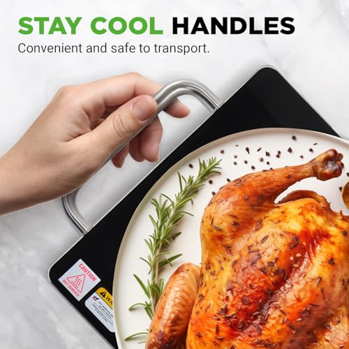 Large Electric Warming Tray