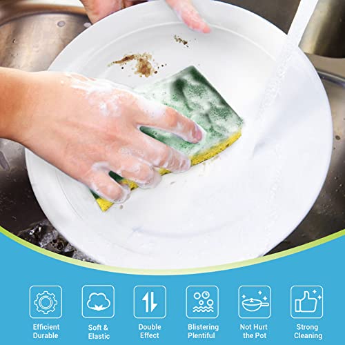 Sponges Kitchen (6 Count)