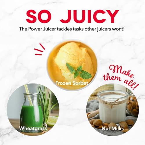 Deluxe Compact Cold Press Juicer