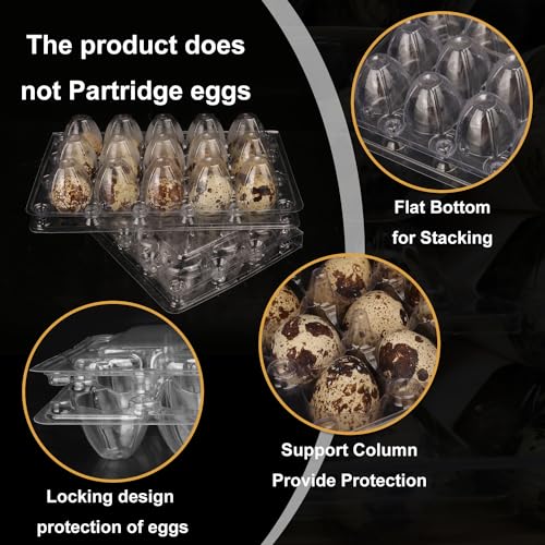200 Pack Quail Egg Cartons (200 Count)