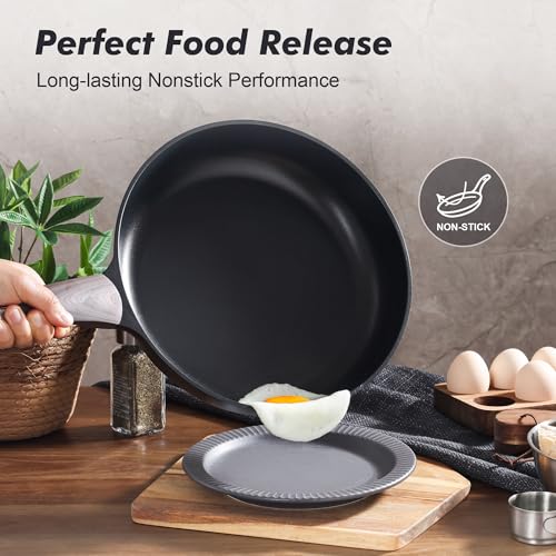 9.5Inch Nonstick Frying Pan Paella Pan