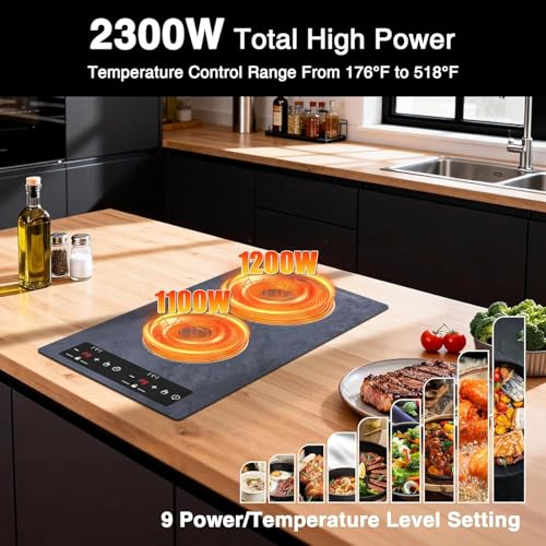 Double Induction Cooktop Portable Electric Cooktop 12'' Hot Plate