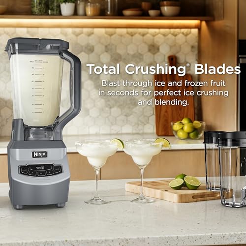 BL660 Professional Compact Smoothie & Food Processing Blender