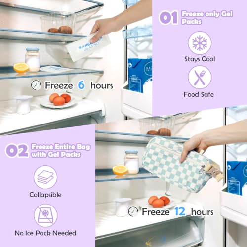 Freezable Snack Bag with Removable Ice Packs