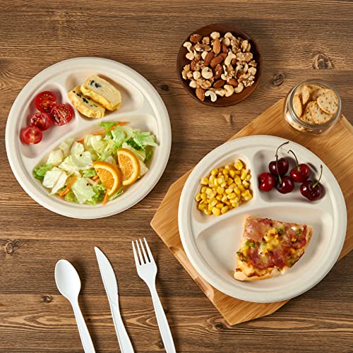 Compostable Paper Plates (125 Count)