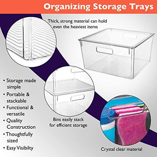 Plastic Storage Bins with Lids (4 Count)