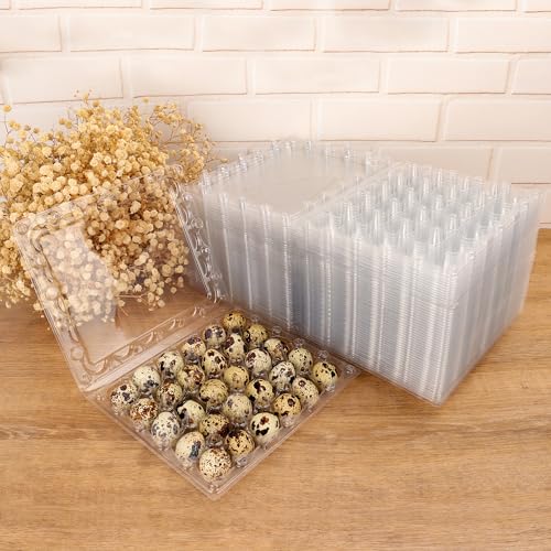 100 Pack Quail Egg Cartons (100 Count)