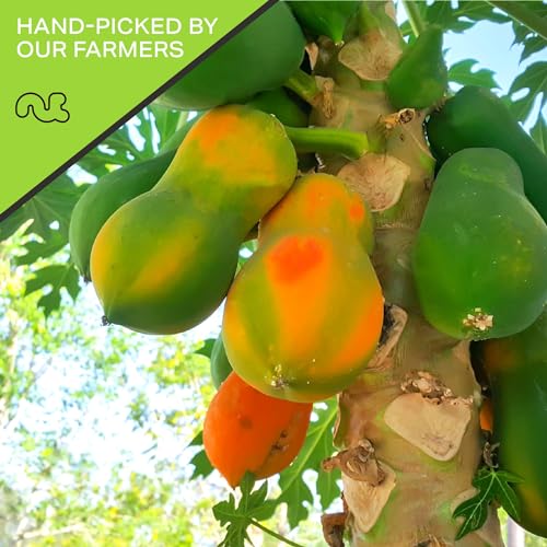 Dried Papaya Chunks (8 Ounce)