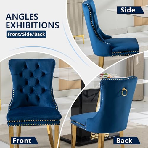 Blue Velvet Dining Chairs Set of 2 (2 Count)