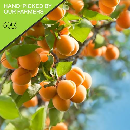 Dried Turkish Apricots (48 Ounce)