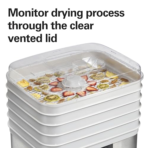 Digital Food Dehydrator for Fruit