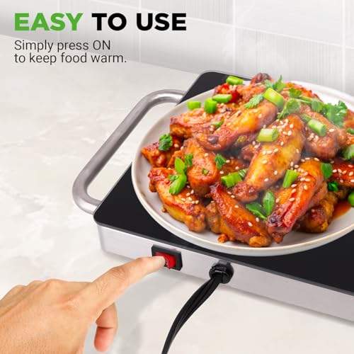 Portable Electric Food Hot Plate