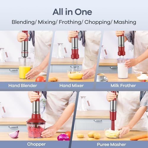 Immersion Blender Handheld