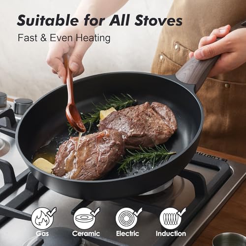 9.5Inch Nonstick Frying Pan Paella Pan