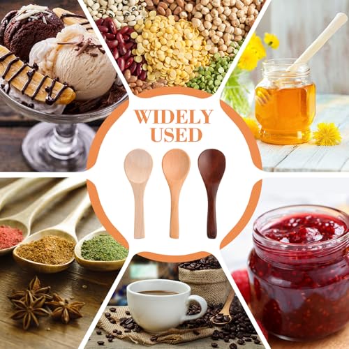 24 Pcs Small Wooden Spoons (24 Count)