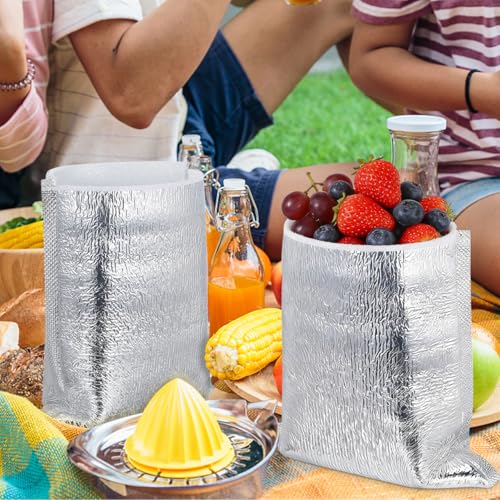 Disposable Insulated Foil Bags