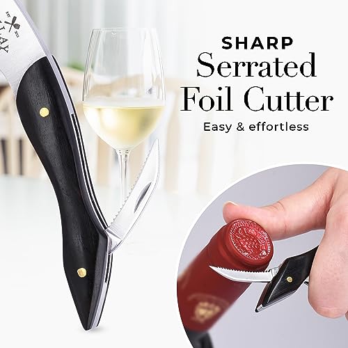 Corkscrew Wine Opener