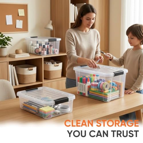 Deep Storage Organizer Bin with Lid X