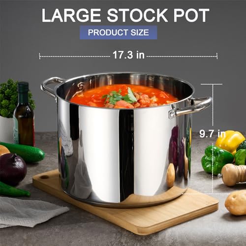 20 QT Stainless Steel Large Stock Pot