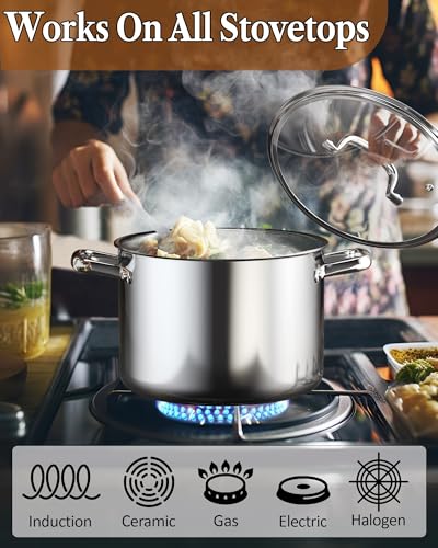 12 Quart Tri Ply Clad Stainless Steel Stockpot with Lid