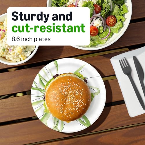 Everyday Disposable Paper Plates (100 Count)