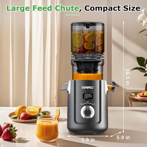 Cold Press Juicer Machines for Whole Fruits & Vegetables