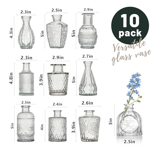 Glass Bud Vase Set of 10 Pcs Small Minimalist Vases for Flowers (10 Count)