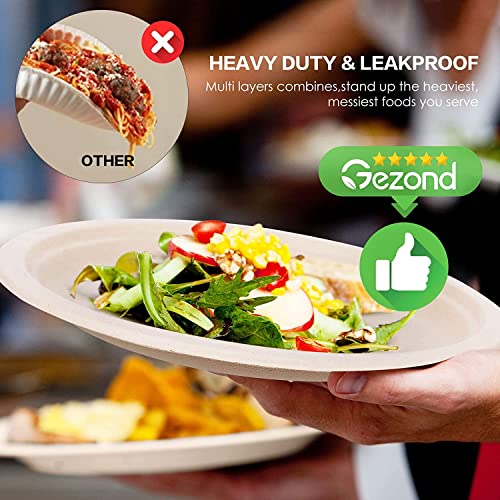 100% Compostable Plates 10 Inch 125 Pack Paper Plates Heavy (125 Count)
