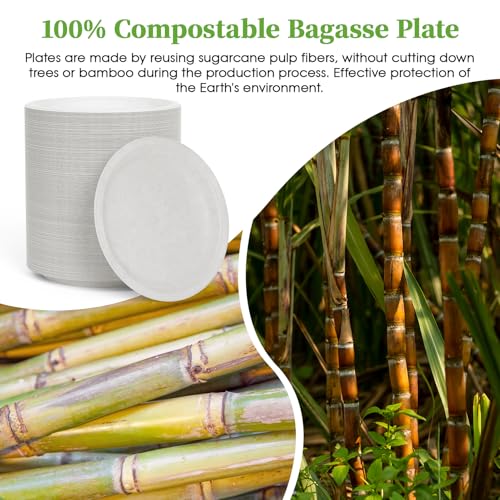 6 in 500 Pack White Disposable Compostable Dessert Paper Plates (500 Count)